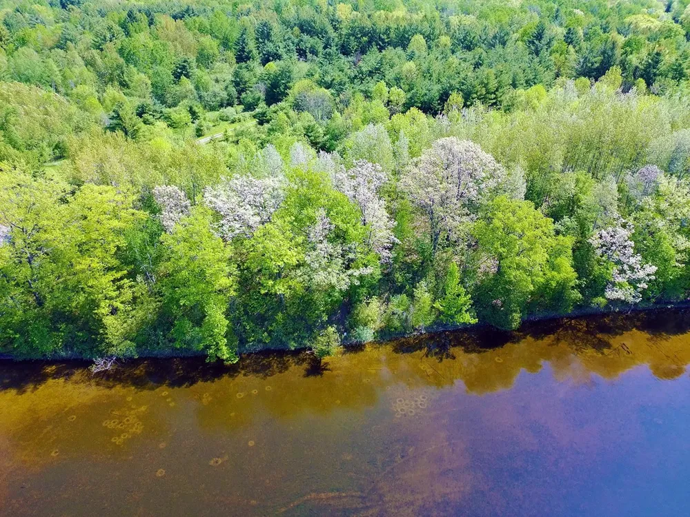 Bass Lake Road Hill Township, MI 48635