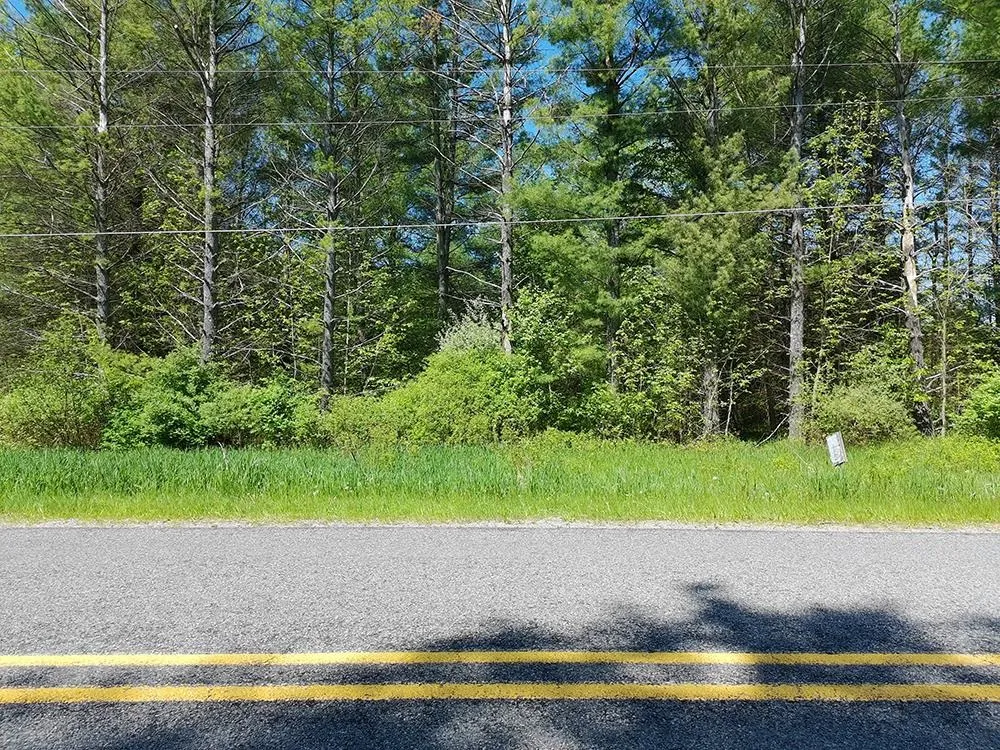 Bass Lake Road Hill Township, MI 48635