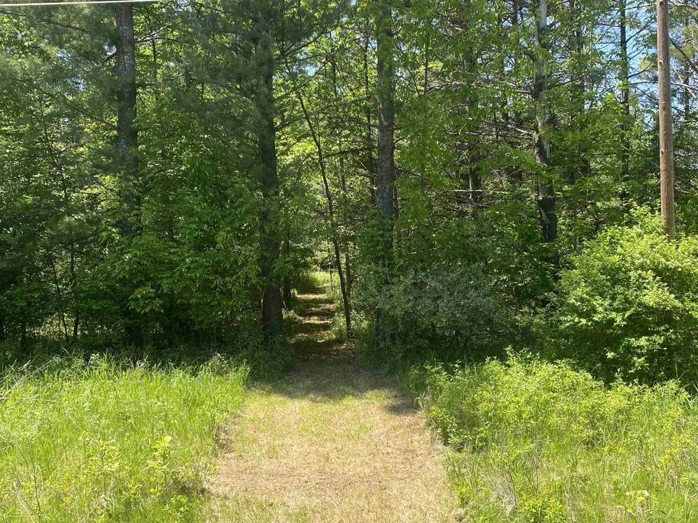 Bass Lake Road Hill Township, MI 48635