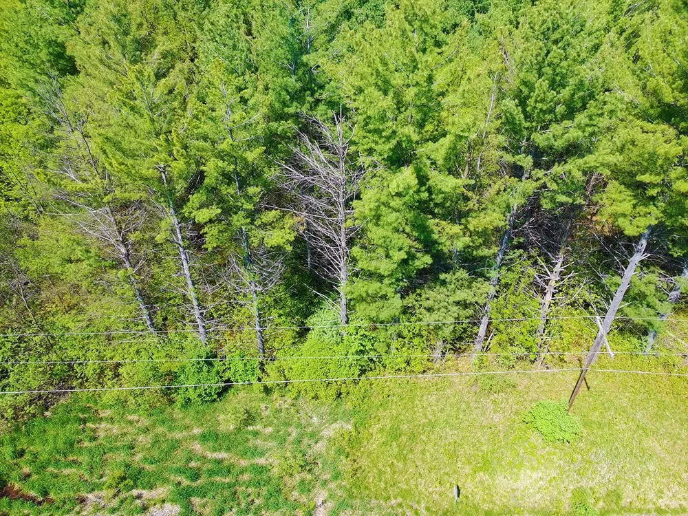 Bass Lake Road Hill Township, MI 48635