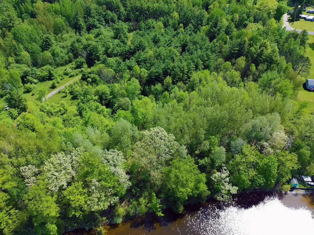 Bass Lake Road Hill Township, MI 48635