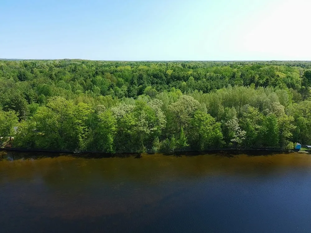 Bass Lake Road Hill Township, MI 48635