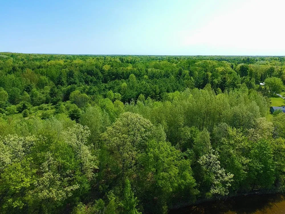 Bass Lake Road Hill Township, MI 48635
