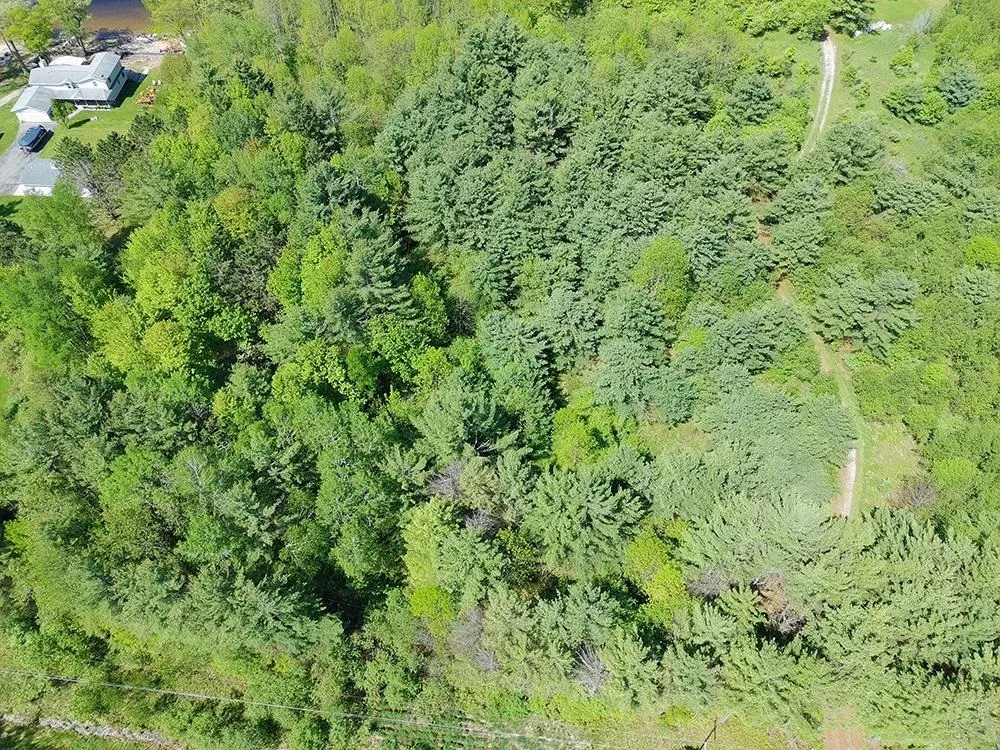 Bass Lake Road Hill Township, MI 48635