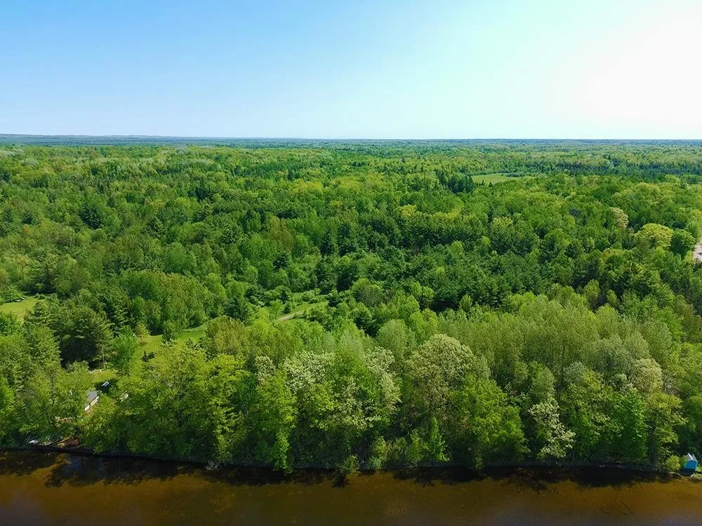 Bass Lake Road Hill Township, MI 48635