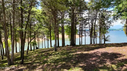 123 Ridge Point Tr