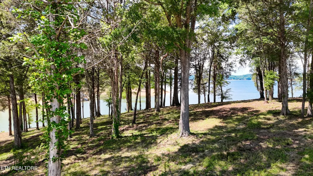 123 Ridge Point Tr Dandridge, TN 37725