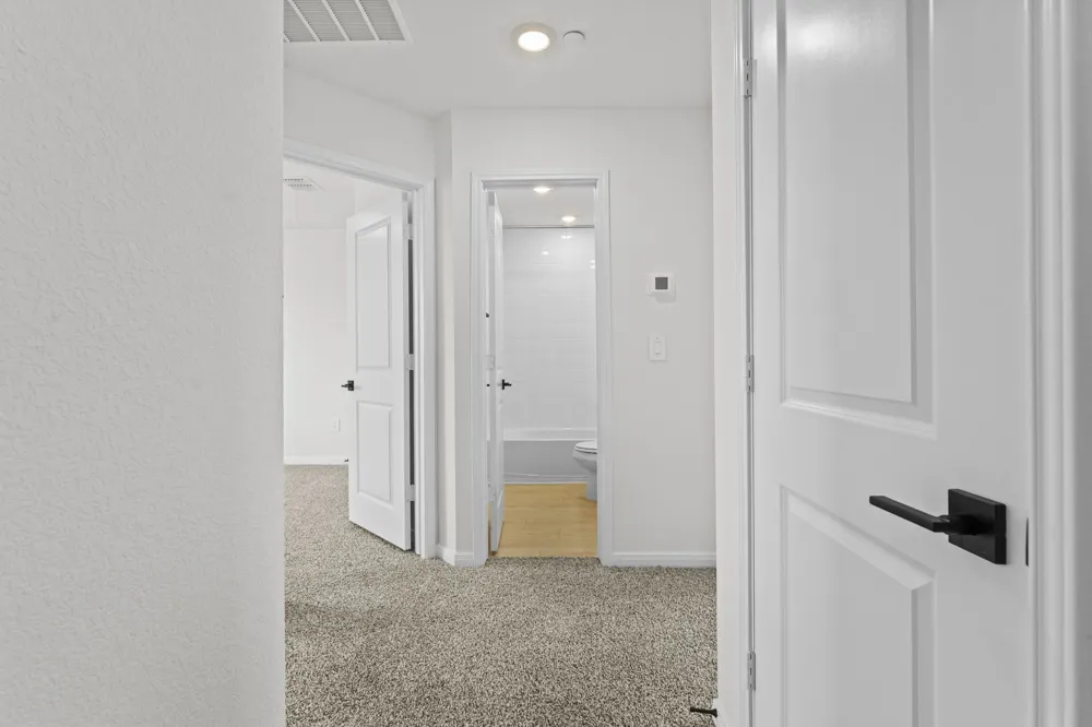 2540 Violet Theo Lane Round Rock, TX 78665
