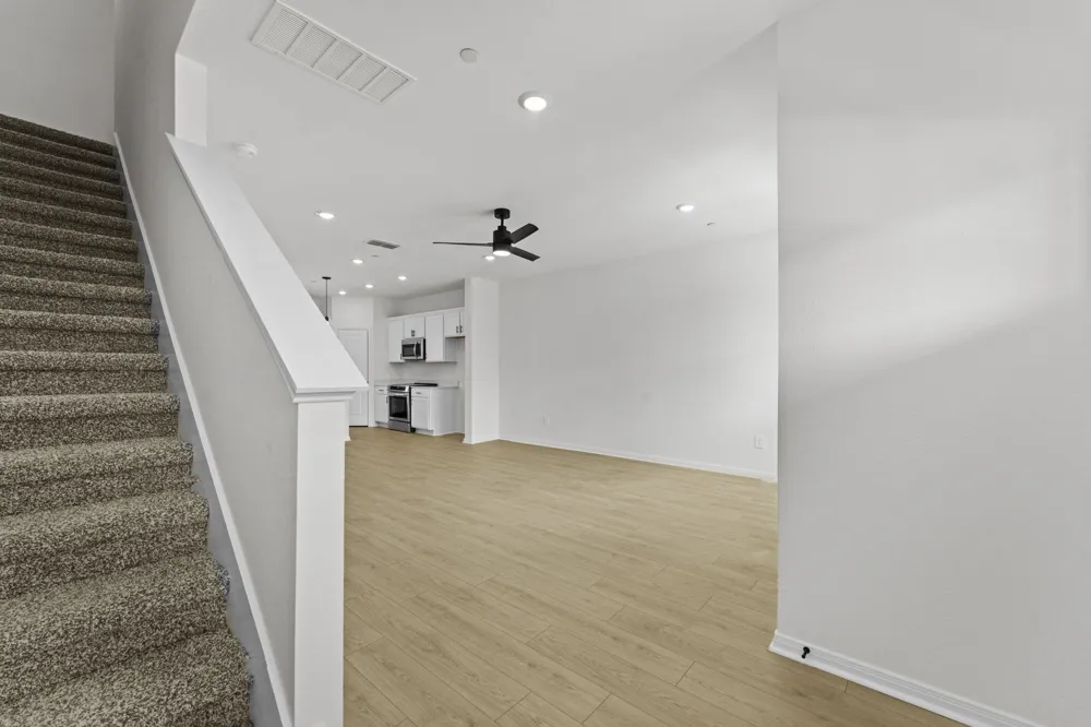 2540 Violet Theo Lane Round Rock, TX 78665