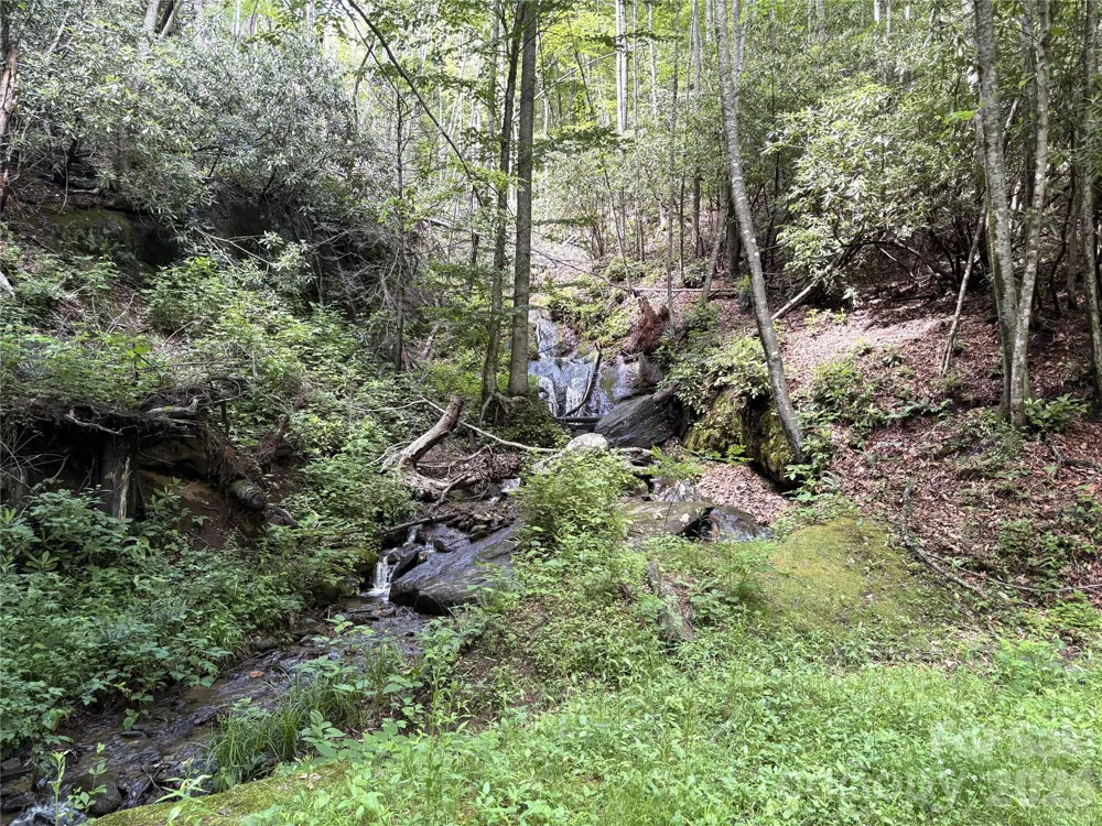 000 Valley View Drive Maggie Valley, NC 28751