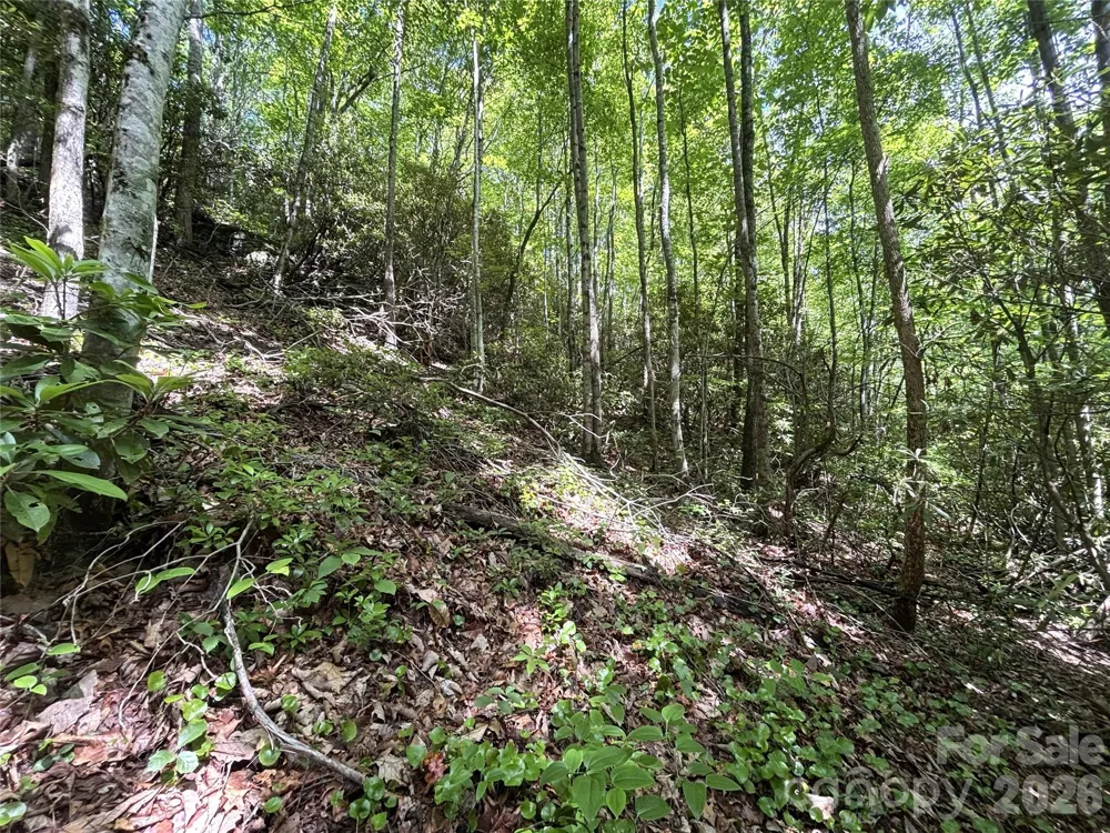 000 Valley View Drive Maggie Valley, NC 28751