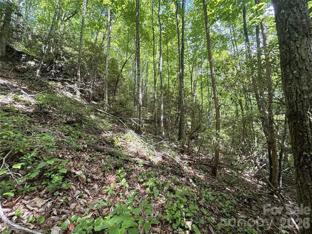 000 Valley View Drive Maggie Valley, NC 28751