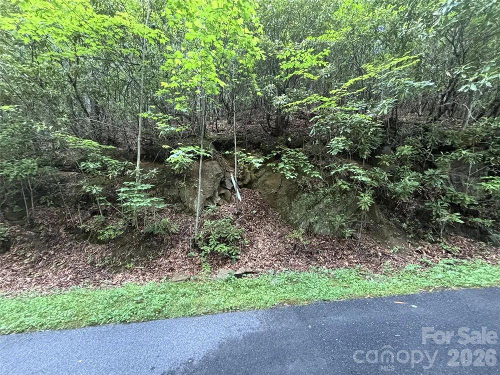 000 Valley View Drive Maggie Valley, NC 28751