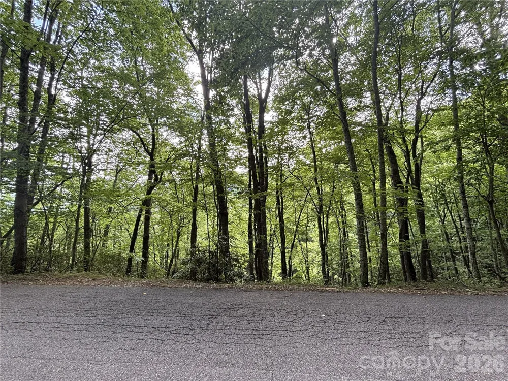 000 Valley View Drive Maggie Valley, NC 28751