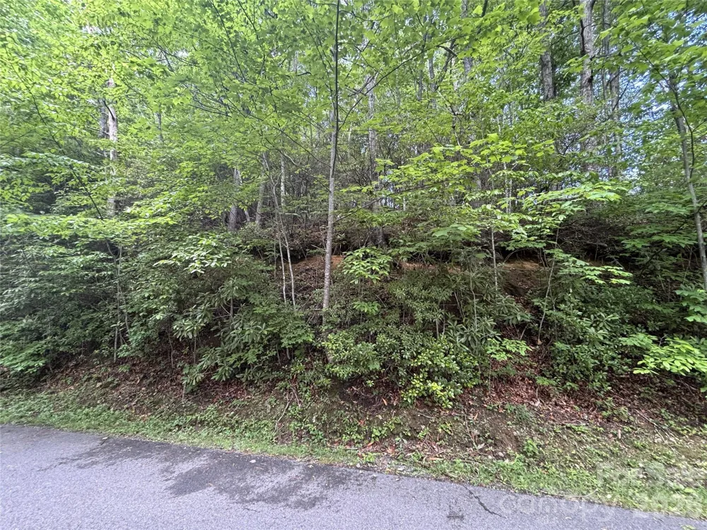 000 Valley View Drive Maggie Valley, NC 28751