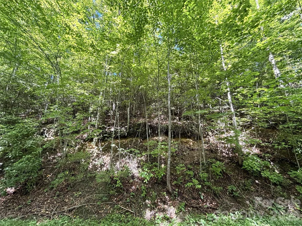 000 Valley View Drive Maggie Valley, NC 28751