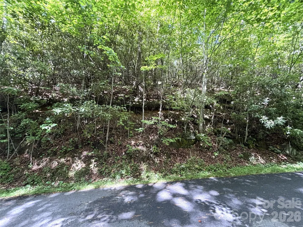 000 Valley View Drive Maggie Valley, NC 28751
