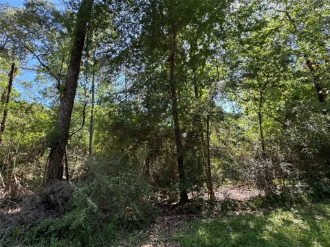 28 Laurel Oak