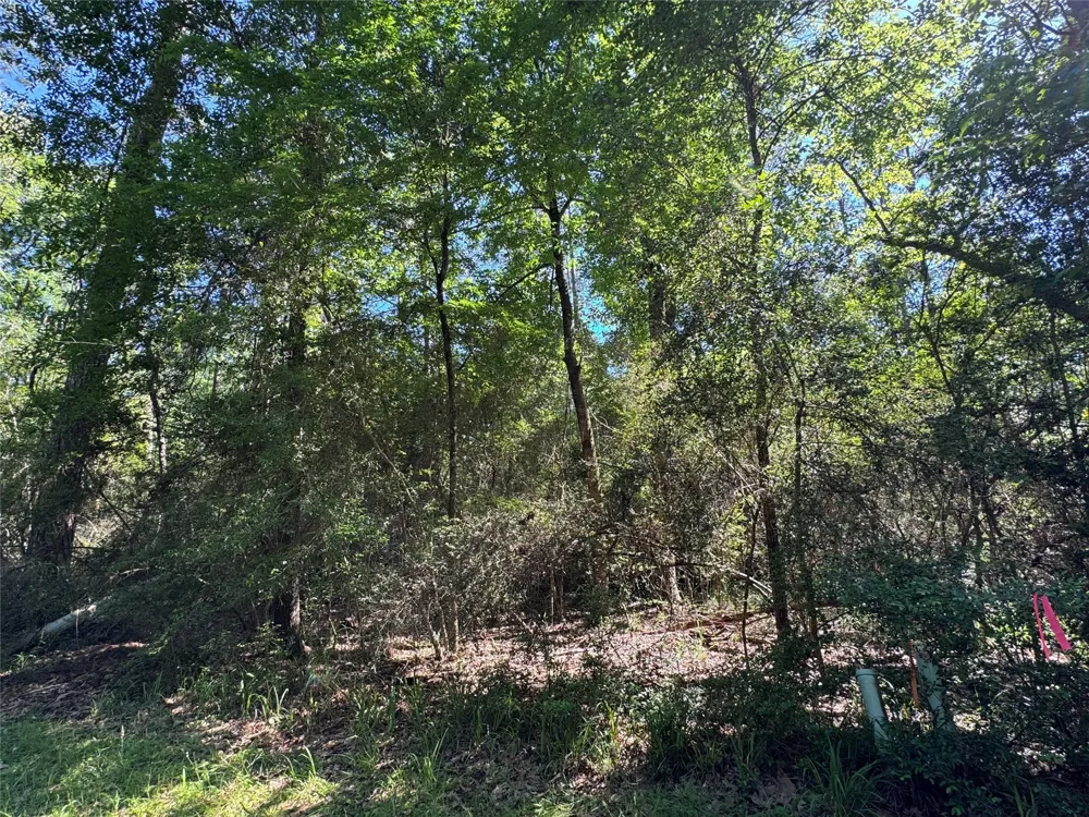 28 Laurel Oak Trinity, TX 75862