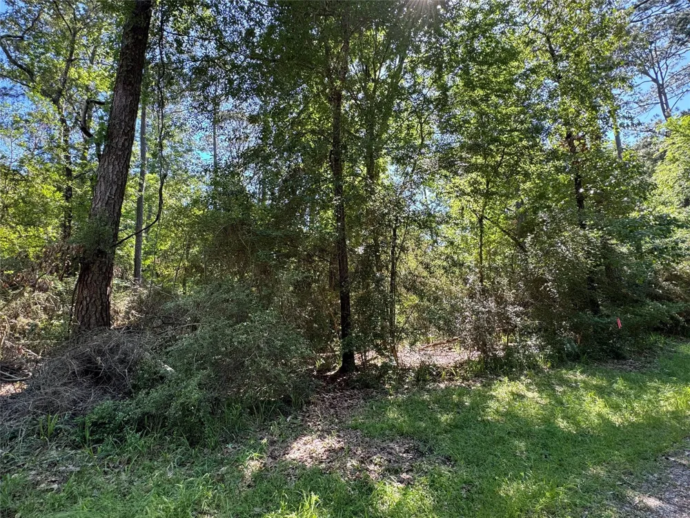 28 Laurel Oak Trinity, TX 75862