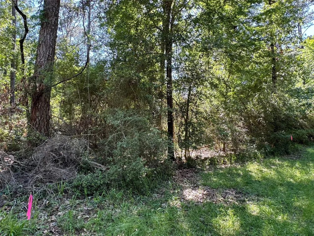 28 Laurel Oak Trinity, TX 75862