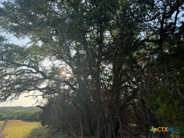 County Road 2644 Lometa, TX 76853