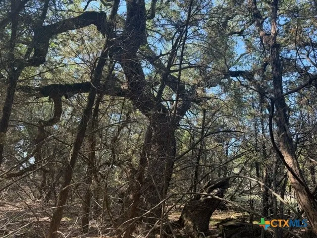 County Road 2644 Lometa, TX 76853
