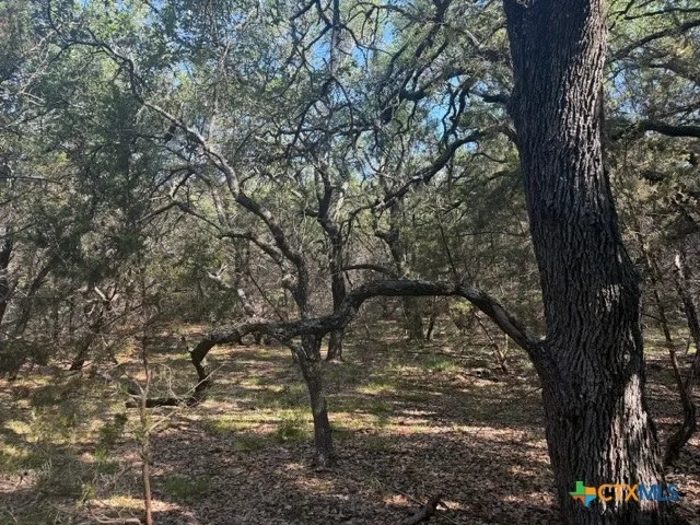 County Road 2644 Lometa, TX 76853