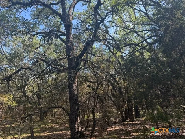 County Road 2644 Lometa, TX 76853
