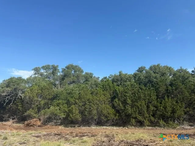 County Road 2644 Lometa, TX 76853