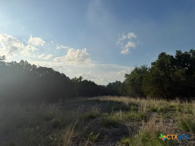 County Road 2644 Lometa, TX 76853
