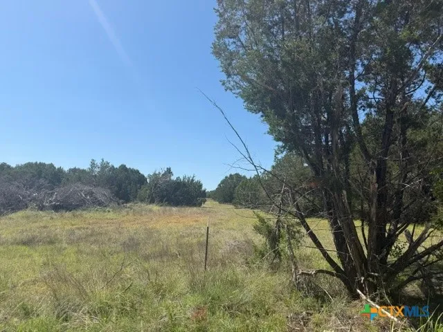 County Road 2644 Lometa, TX 76853