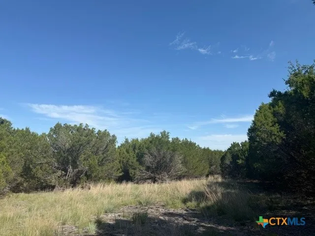County Road 2644 Lometa, TX 76853