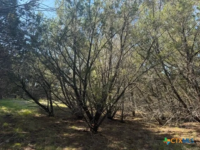 County Road 2644 Lometa, TX 76853