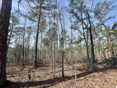 6 Ramblewood Trail