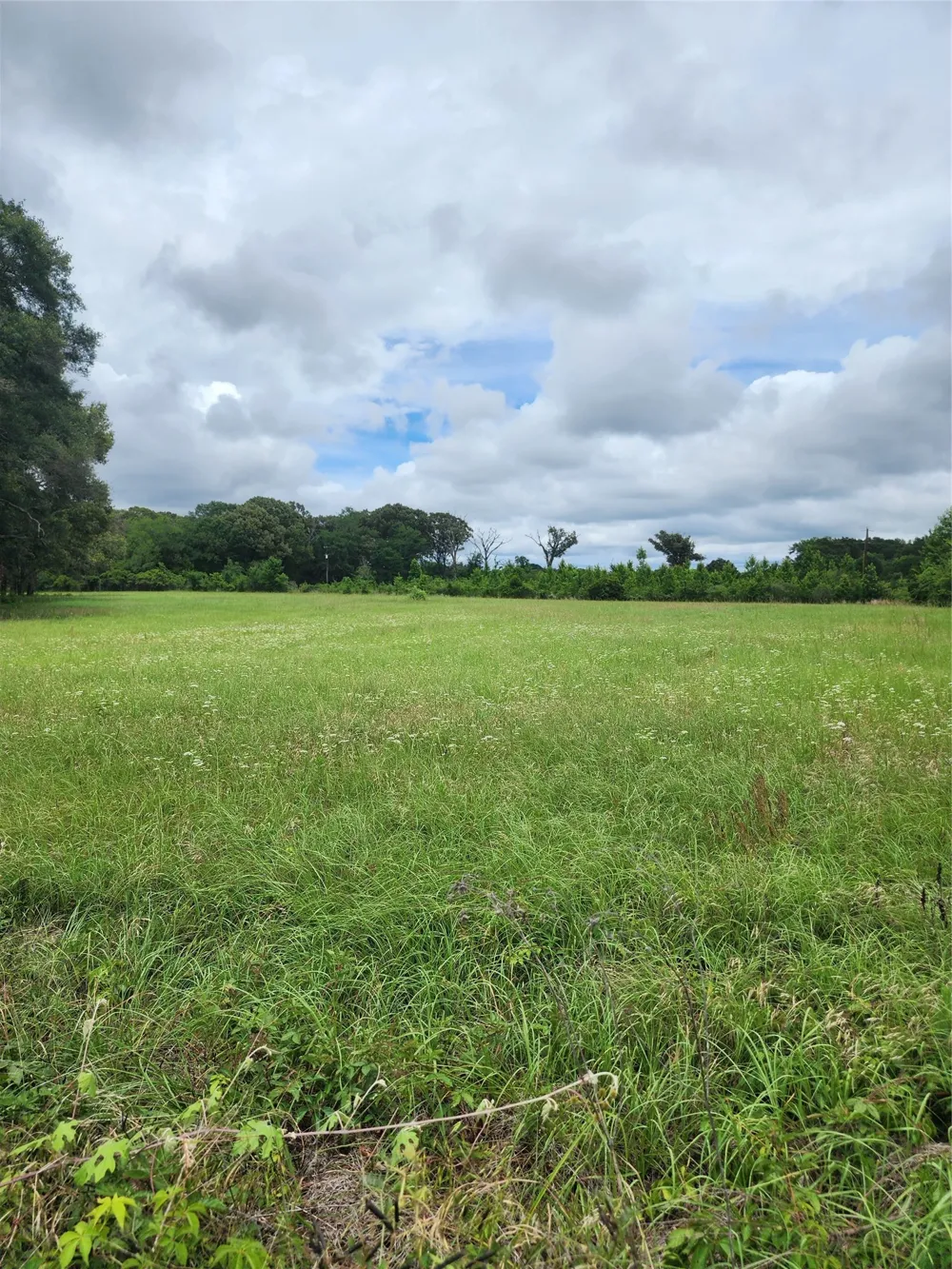 951 County Road 3800 Athens, TX 75752