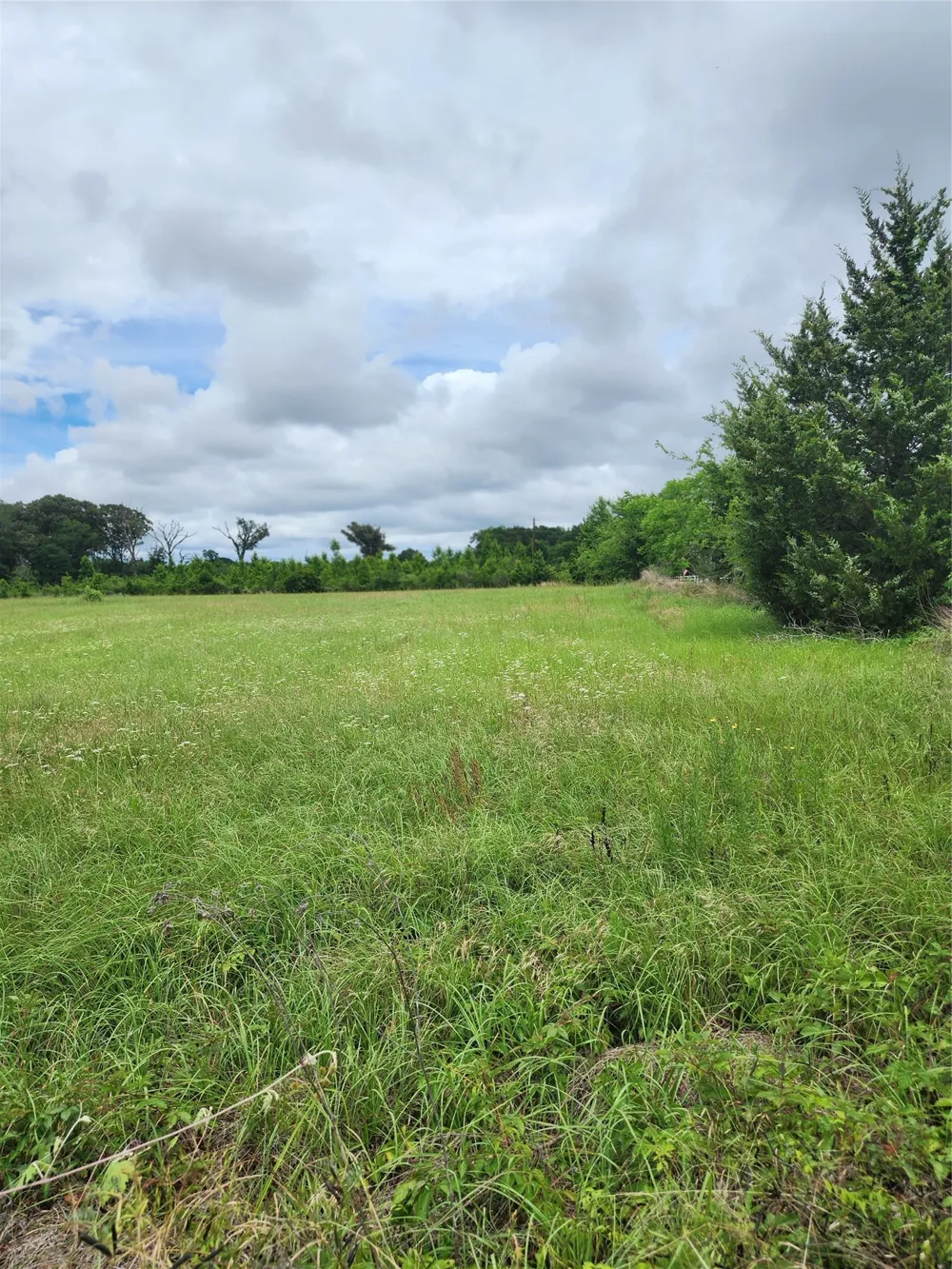 951 County Road 3800 Athens, TX 75752