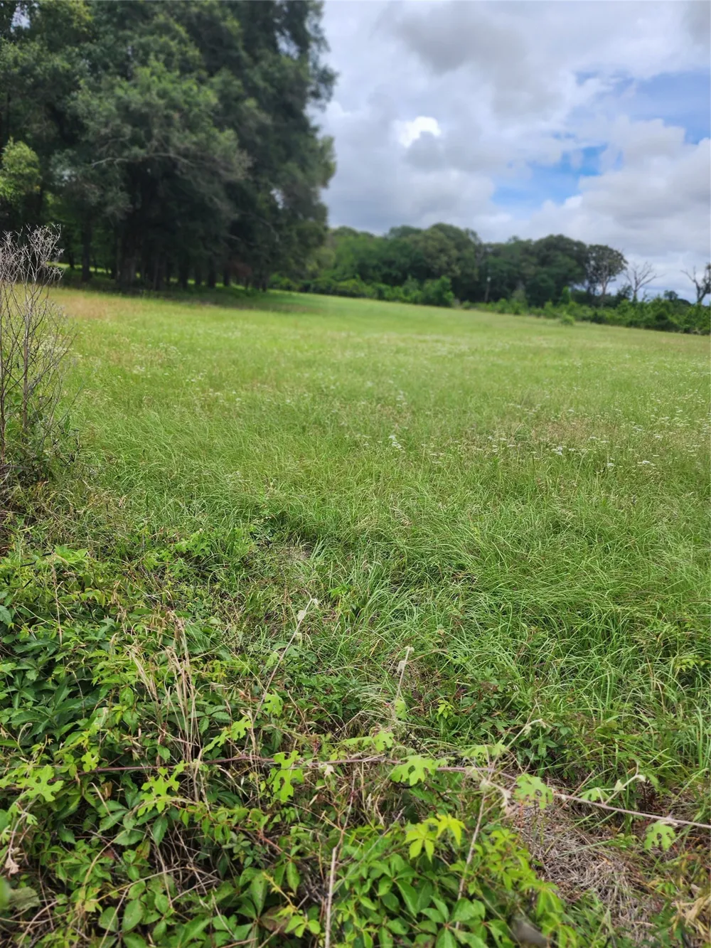 951 County Road 3800 Athens, TX 75752