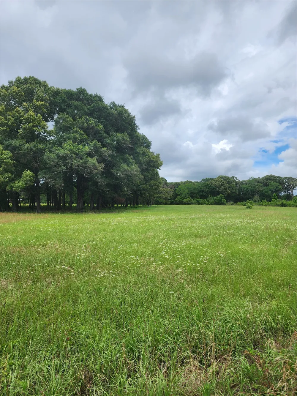951 County Road 3800 Athens, TX 75752