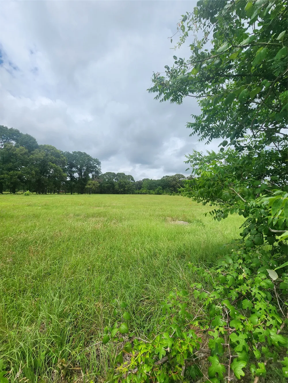 951 County Road 3800 Athens, TX 75752