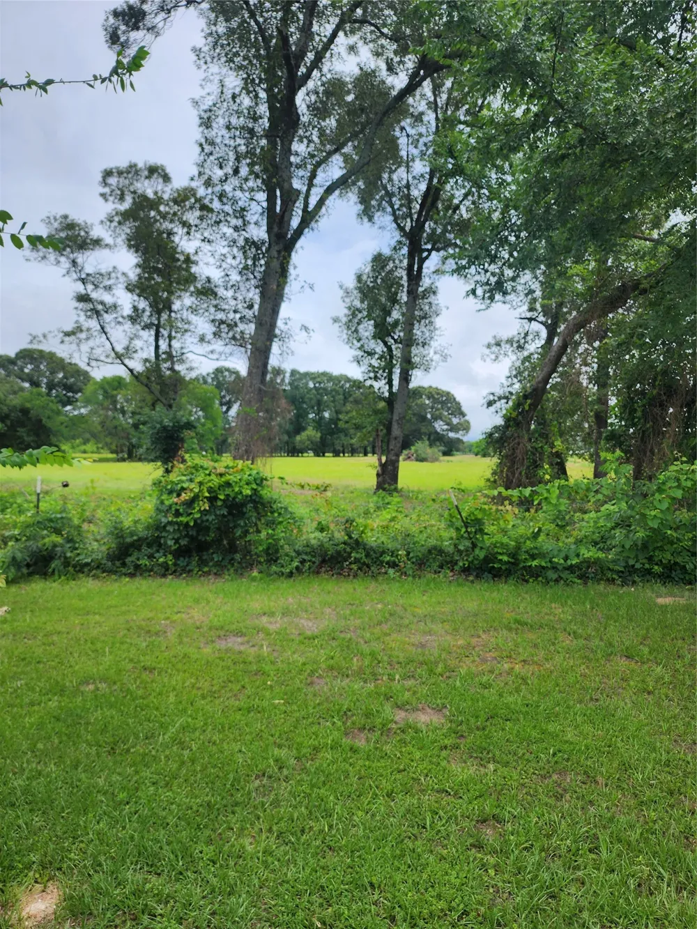 951 County Road 3800 Athens, TX 75752