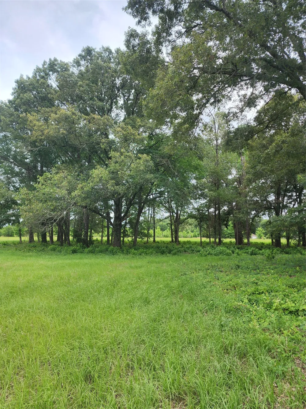 951 County Road 3800 Athens, TX 75752