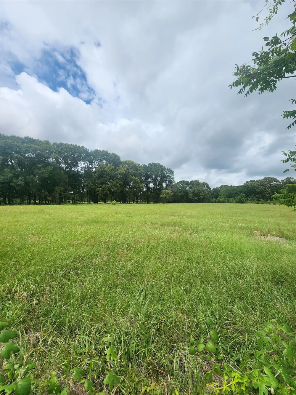 951 County Road 3800 Athens, TX 75752
