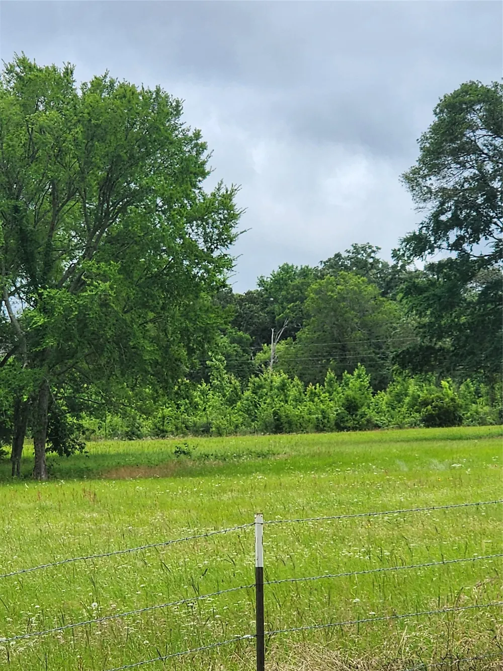 951 County Road 3800 Athens, TX 75752
