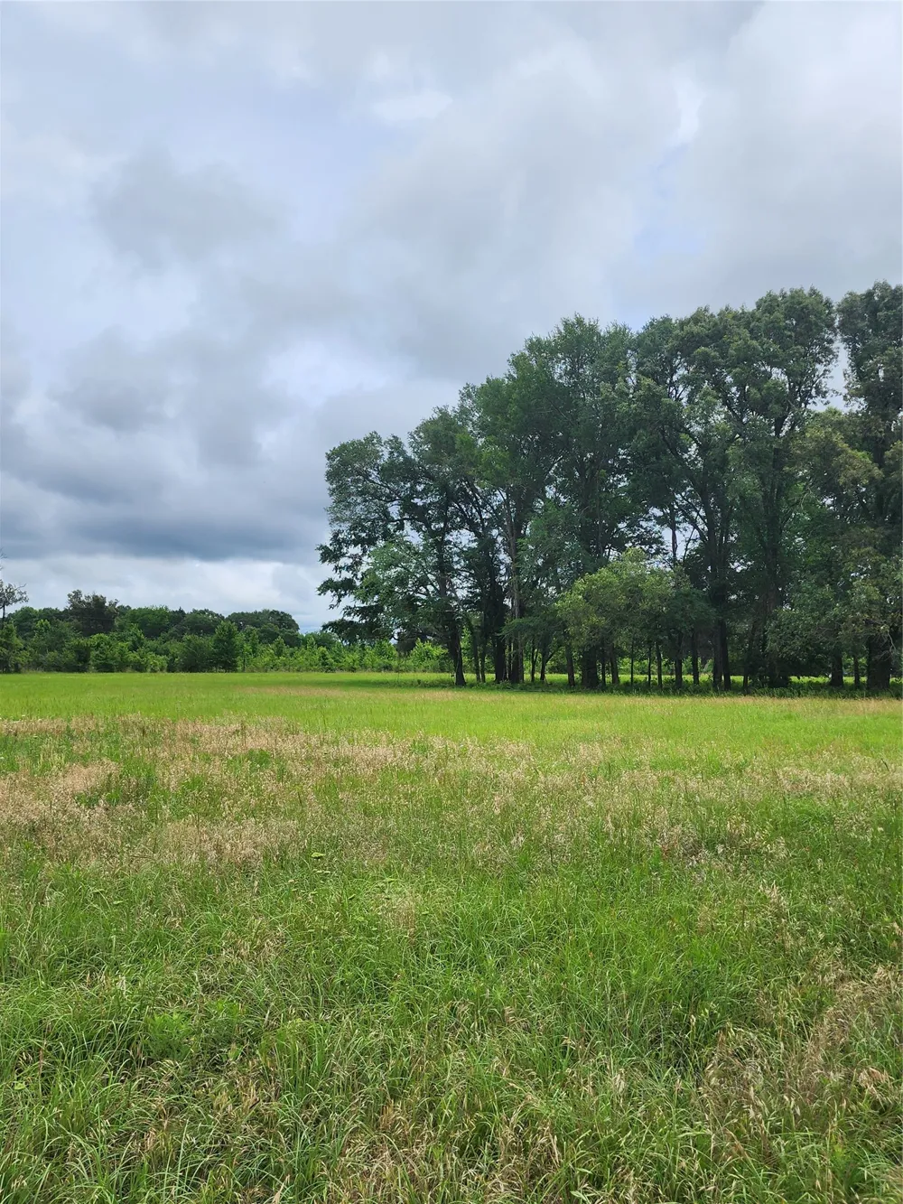 951 County Road 3800 Athens, TX 75752