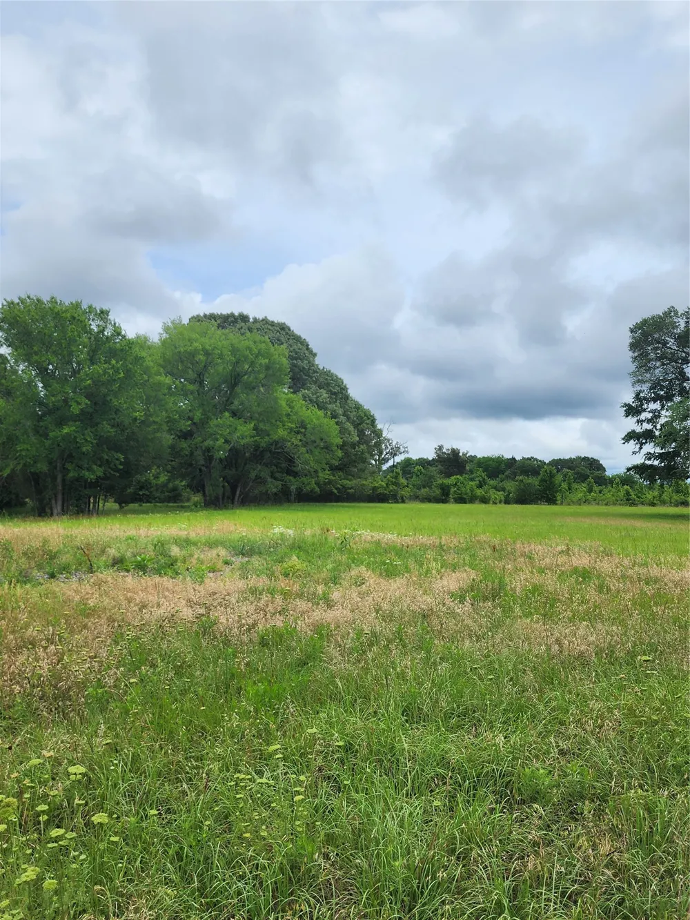 951 County Road 3800 Athens, TX 75752