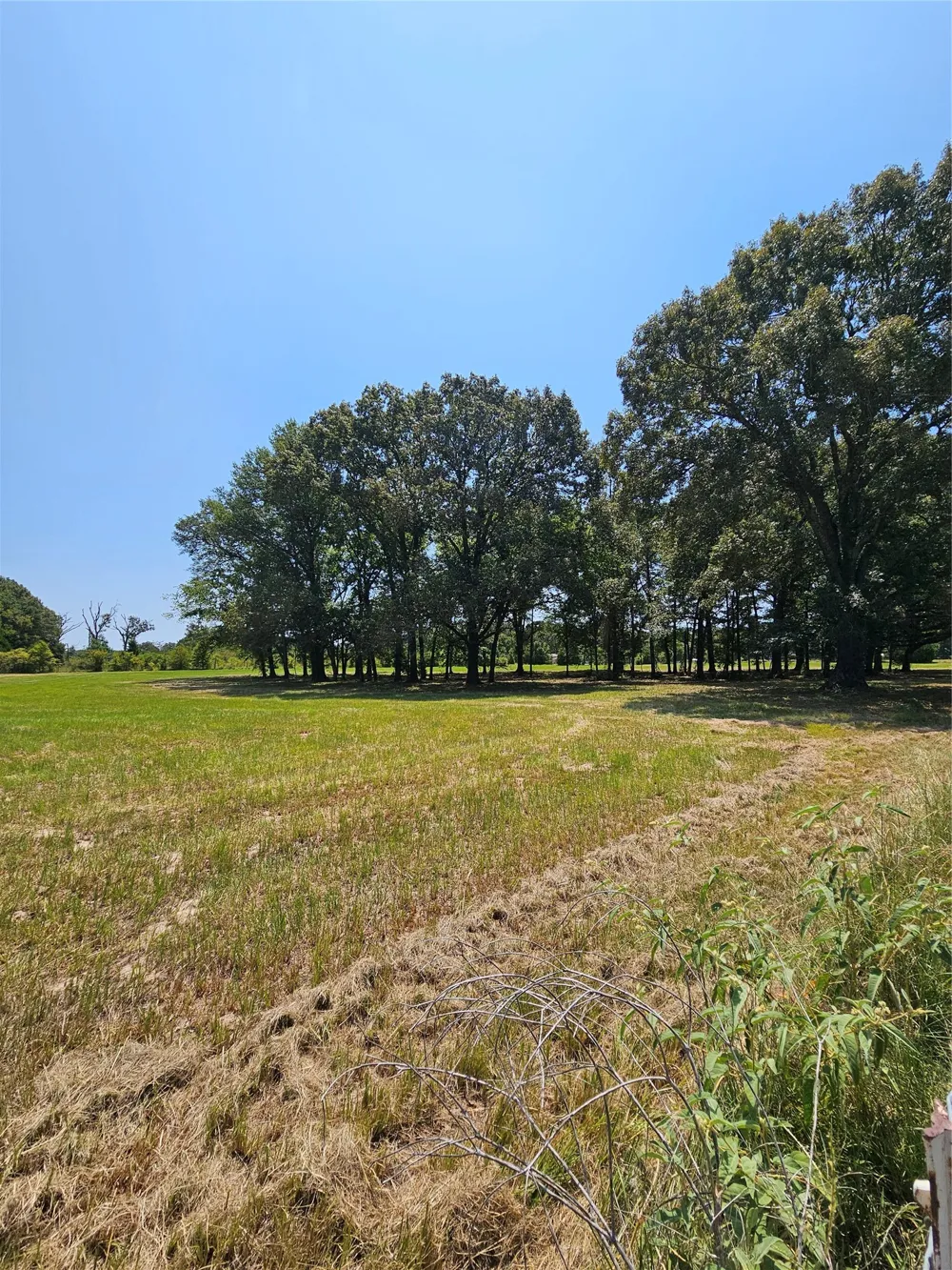 951 County Road 3800 Athens, TX 75752