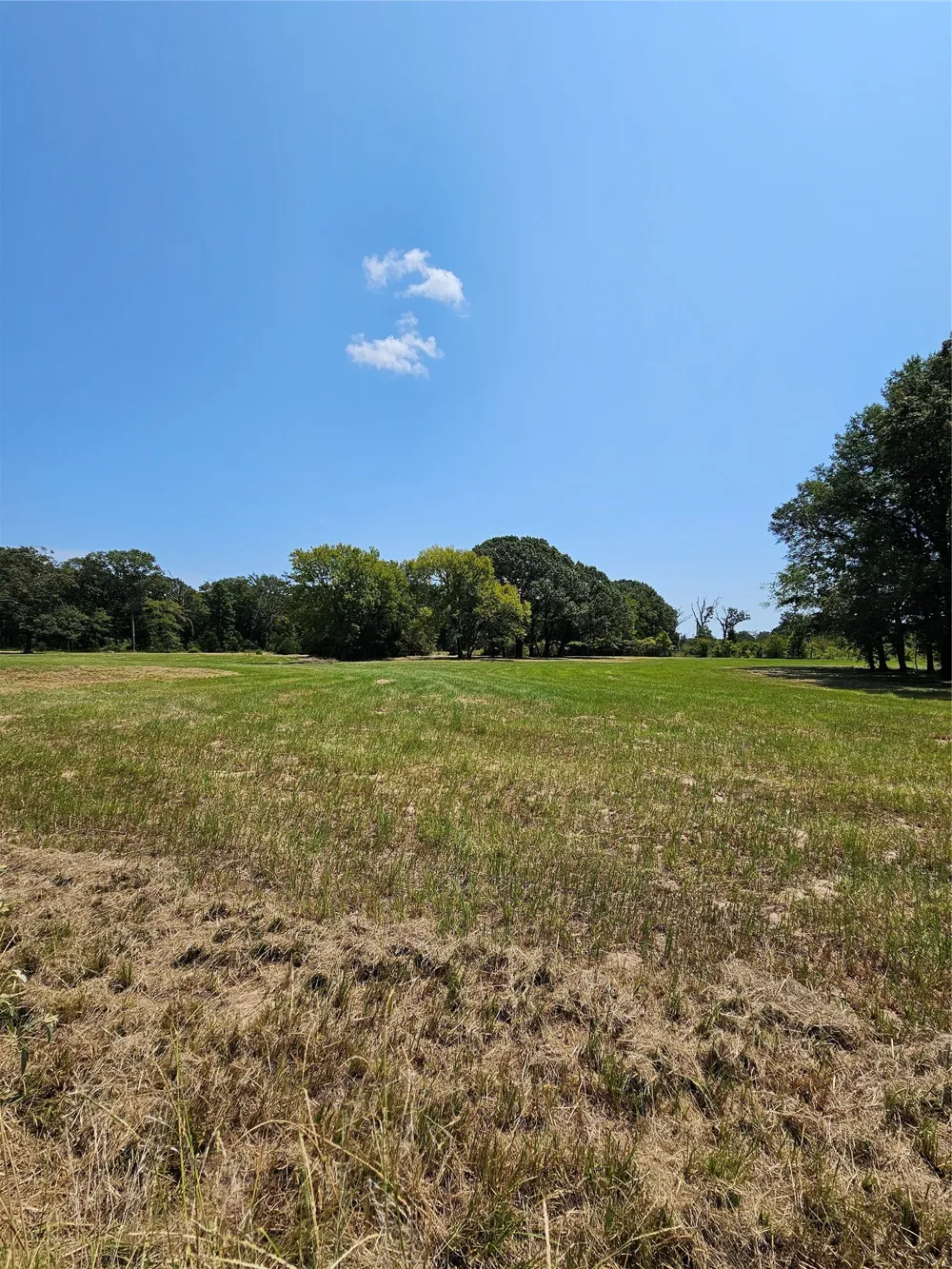 951 County Road 3800 Athens, TX 75752