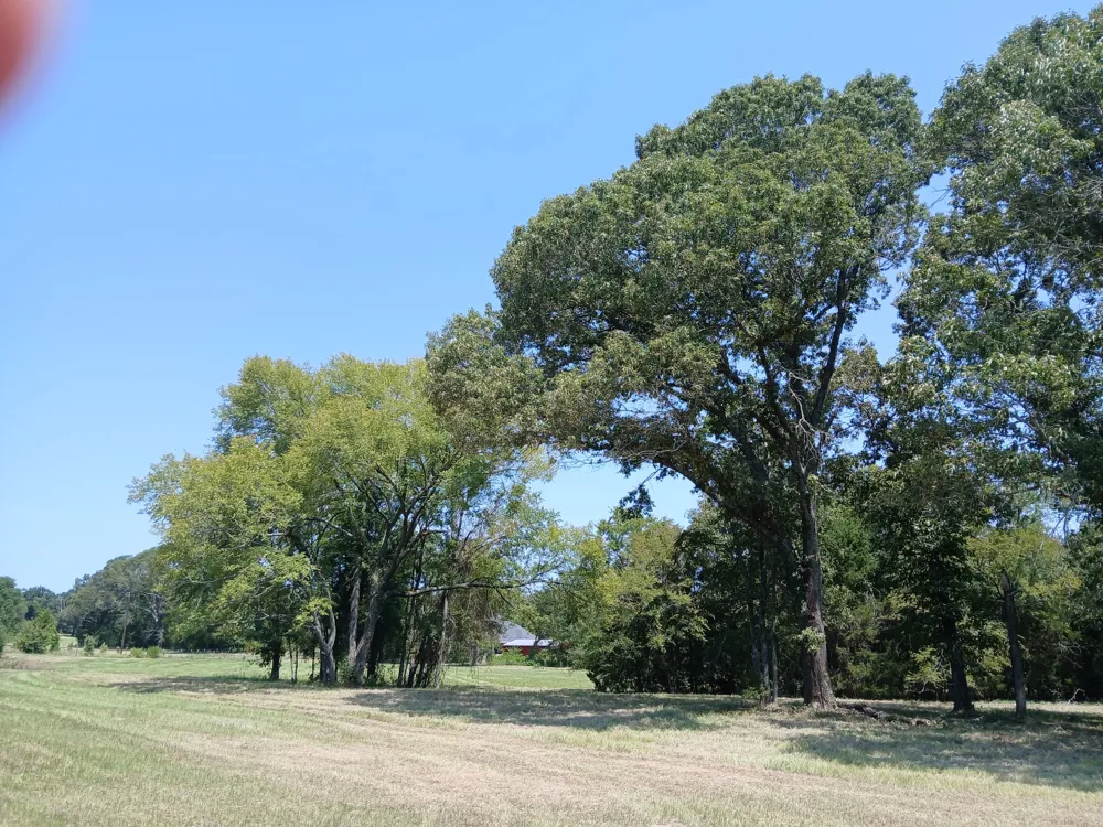 951 County Road 3800 Athens, TX 75752
