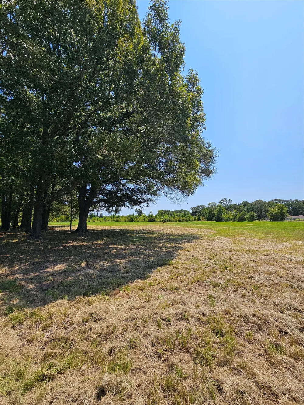 951 County Road 3800 Athens, TX 75752